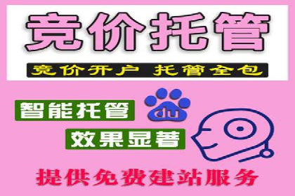 百度推广排名提升方案：某科技公司的成功经验